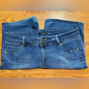 D.Jeans Plus Size Denim Shorts